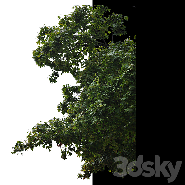 Cut out trees 3ds Max - thumbnail 2