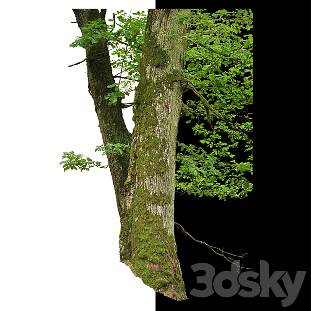 Cut out trees 3ds Max - thumbnail 3