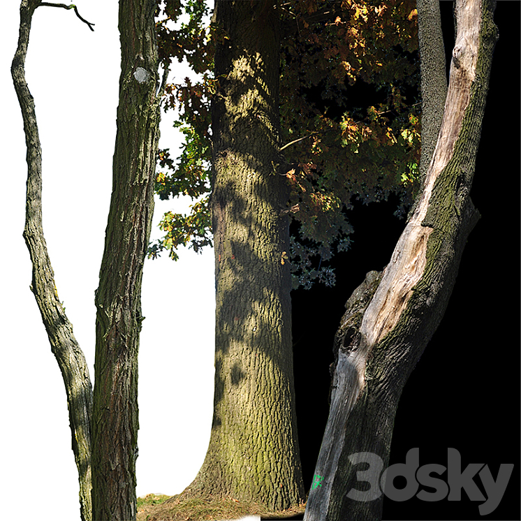 Tree trunks textures 3DS Max - thumbnail 2