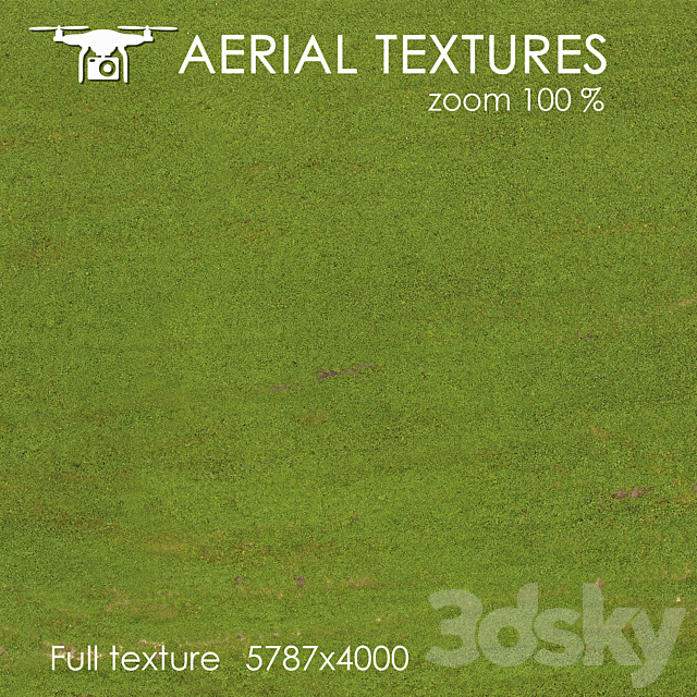 Field with grass 128 3ds Max - thumbnail 2