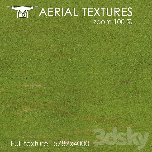 Field with grass 128 3ds Max - thumbnail 3