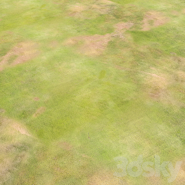 Grassy field area | Seamless | PBR 3ds Max - thumbnail 2