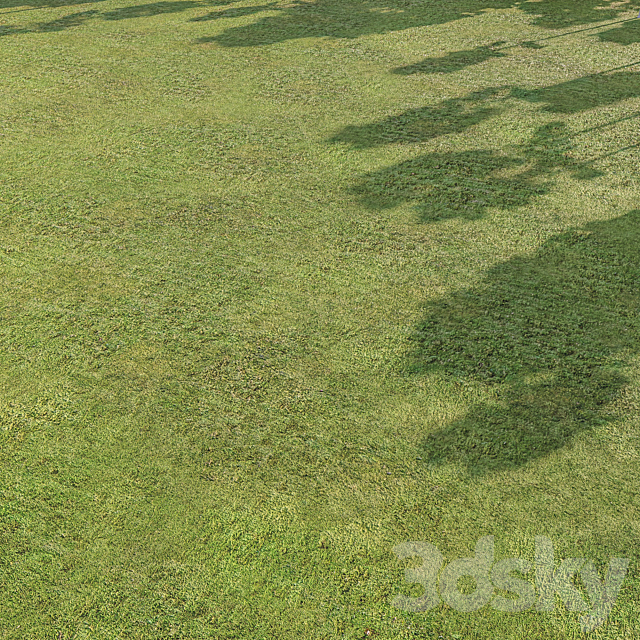 Low field grass terrain material | Seamless | PBR 3ds Max - thumbnail 2