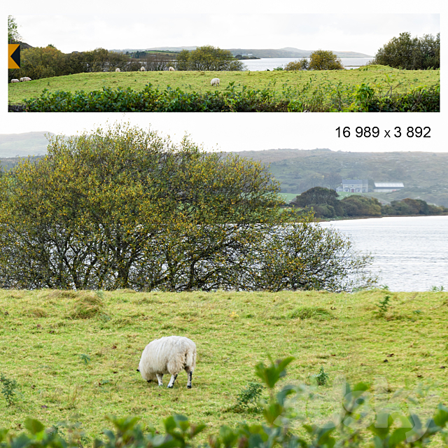 Autumn panorama. Northern Ireland. View of the ocean bay and field. 3ds Max - thumbnail 2