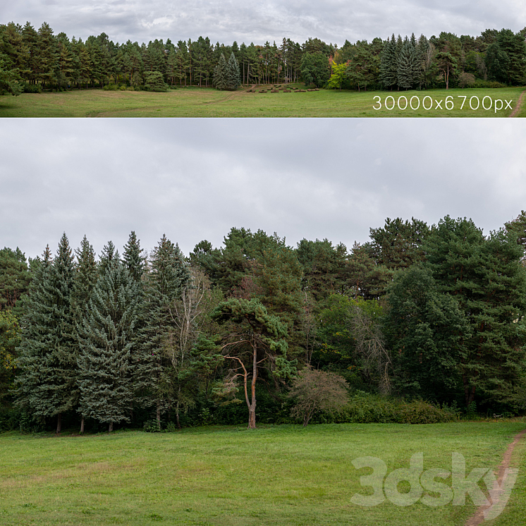 Autumn panorama with trees. 30k 3DS Max Model - thumbnail 1