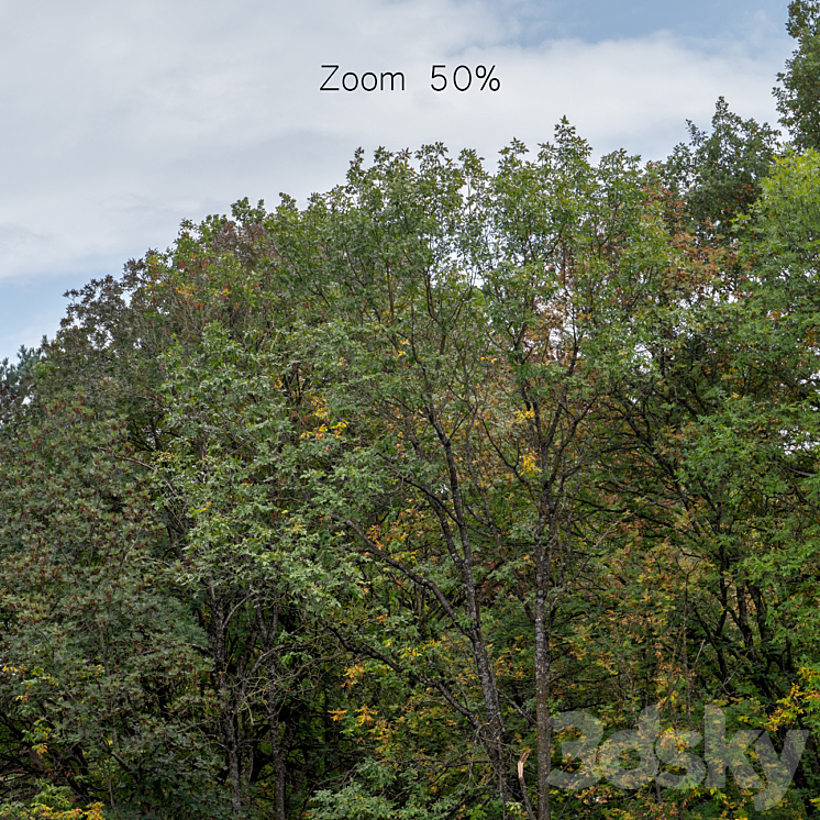 Autumn panorama with trees v2. 30k 3DS Max Model - thumbnail 2