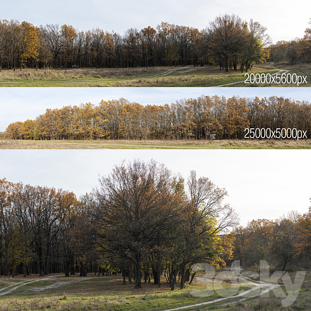 Oak Grove. 2 panoramas 3DSMax File - thumbnail 1