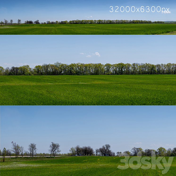 Panorama of a green field with flowers and trees. 32k 3DS Max Model - thumbnail 1