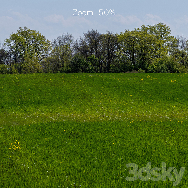 Panorama of a green field with flowers and trees. 32k 3DS Max Model - thumbnail 2