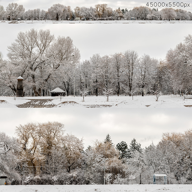 Panorama of the park and snow-covered trees. 45k 3DS Max Model - thumbnail 1