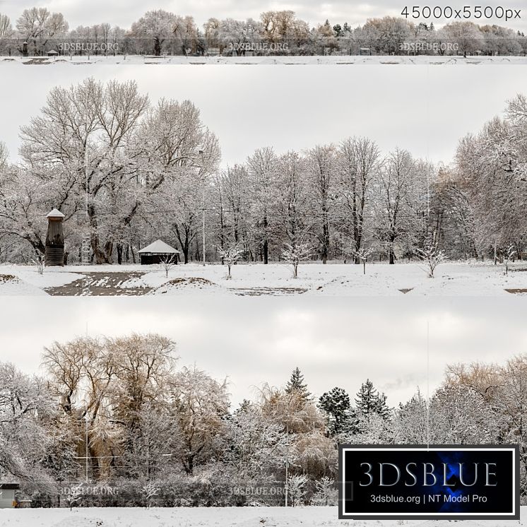 Panorama of the park and snow-covered trees. 45k 3DS Max - thumbnail 3