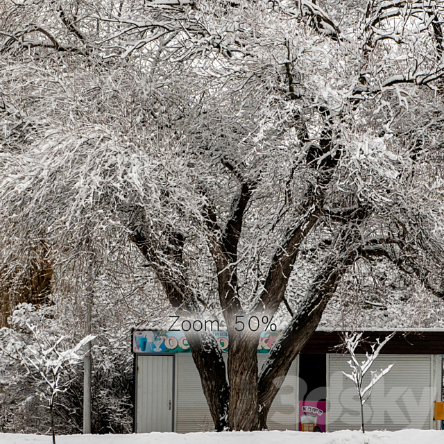 Panorama of the park and snow-covered trees. 45k 3DSMax File - thumbnail 4