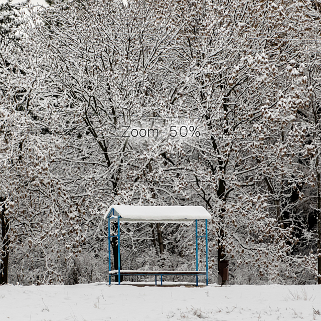 Panorama of the park and snow-covered trees. 45k 3DSMax File - thumbnail 5