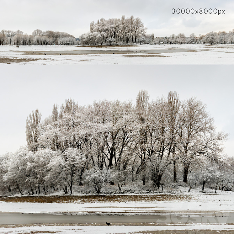 Panorama of the park with a lake and snow-covered trees. 30k 3DS Max Model - thumbnail 1