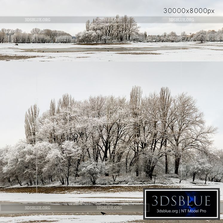 Panorama of the park with a lake and snow-covered trees. 30k 3DS Max - thumbnail 3