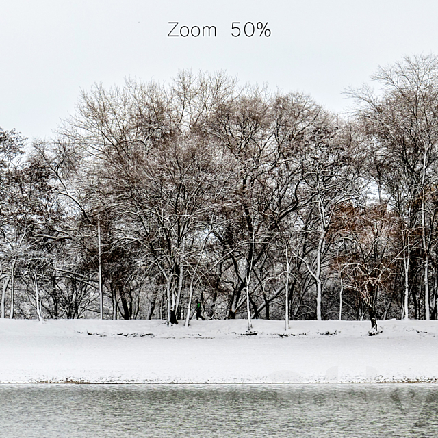 Panorama of the park with a lake and snow-covered trees. 35k 3DSMax File - thumbnail 3