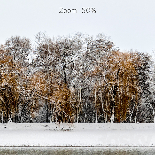 Panorama of the park with a lake and snow-covered trees. 35k 3DSMax File - thumbnail 4