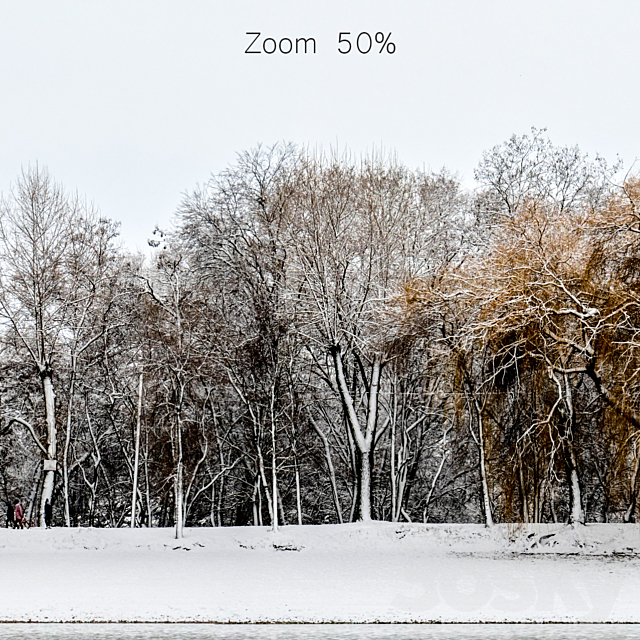 Panorama of the park with a lake and snow-covered trees. 35k 3DSMax File - thumbnail 5