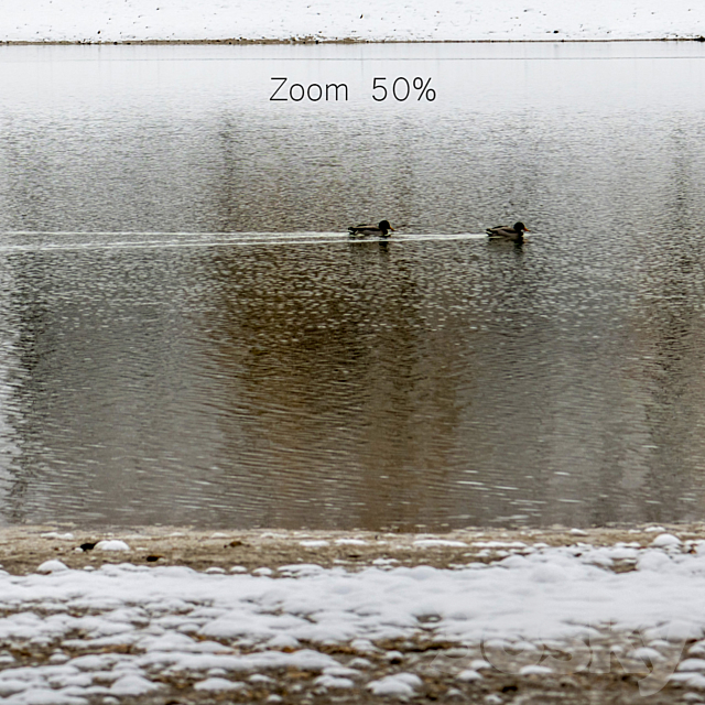 Panorama of the park with a lake and snow-covered trees. 35k 3DSMax File - thumbnail 7