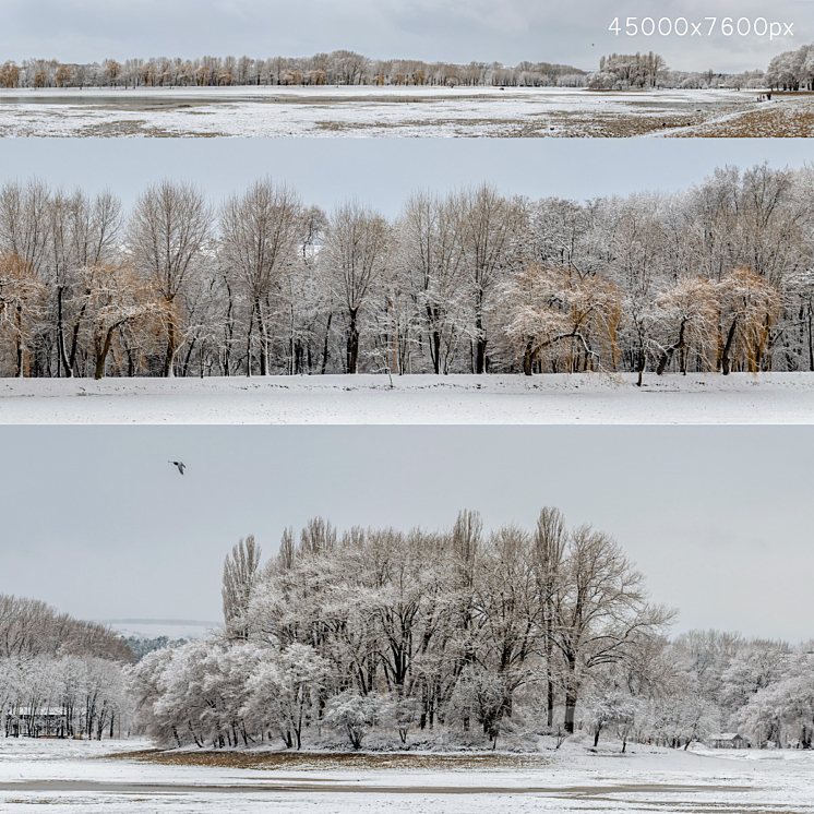 Panorama of the park with a lake and snow-covered trees. 45k 3DS Max Model - thumbnail 1