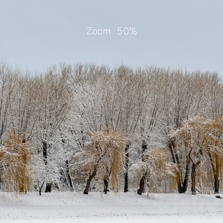 Panorama of the park with a lake and snow-covered trees. 45k 3DS Max Model - thumbnail 2