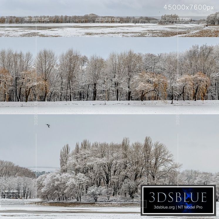 Panorama of the park with a lake and snow-covered trees. 45k 3DS Max - thumbnail 3