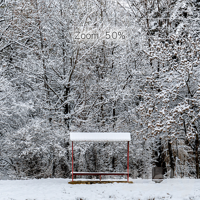 Panorama of the park with a lake and snow-covered trees. 46k 3DSMax File - thumbnail 2