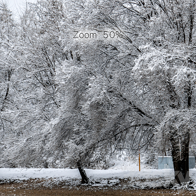 Panorama of the park with a lake and snow-covered trees. 46k 3DSMax File - thumbnail 3