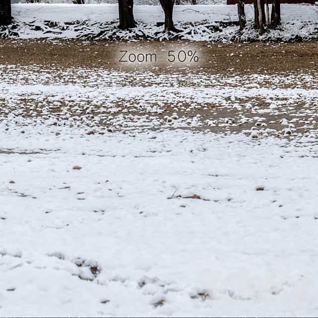 Panorama of the park with a lake and snow-covered trees. 46k 3DSMax File - thumbnail 4