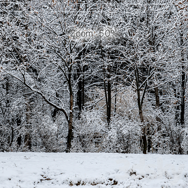 Panorama of the park with a lake and snow-covered trees. 46k 3DSMax File - thumbnail 6