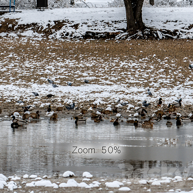 Panorama of the park with a lake and snow-covered trees. 46k 3DSMax File - thumbnail 7