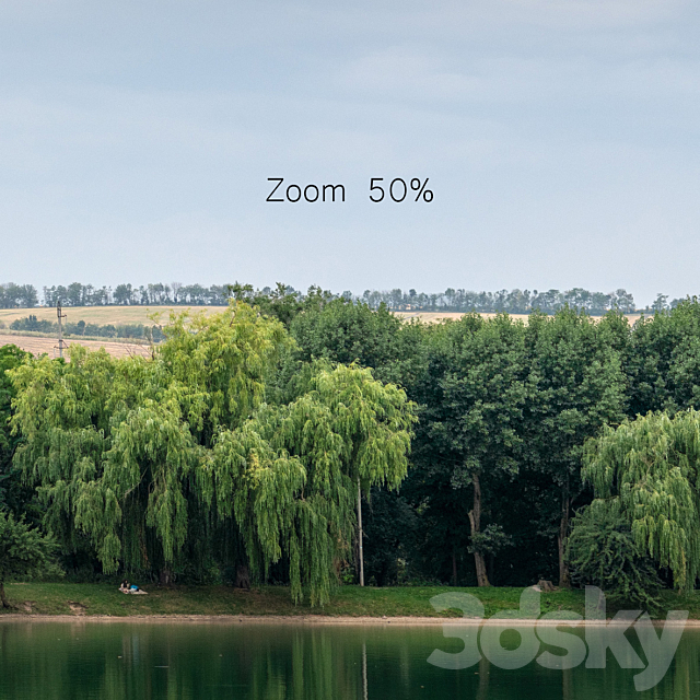 Panorama with a lake and trees v2. 30-50k 3DSMax File - thumbnail 4