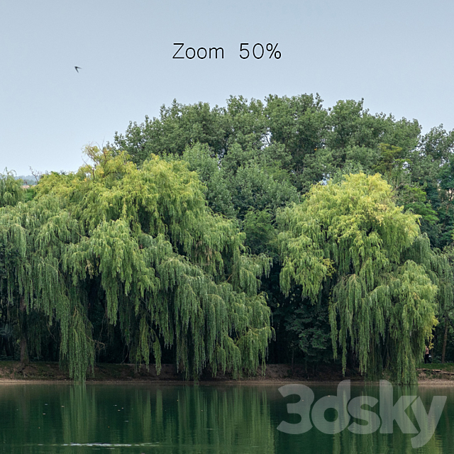 Panorama with a lake and trees v2. 30-50k 3DSMax File - thumbnail 5