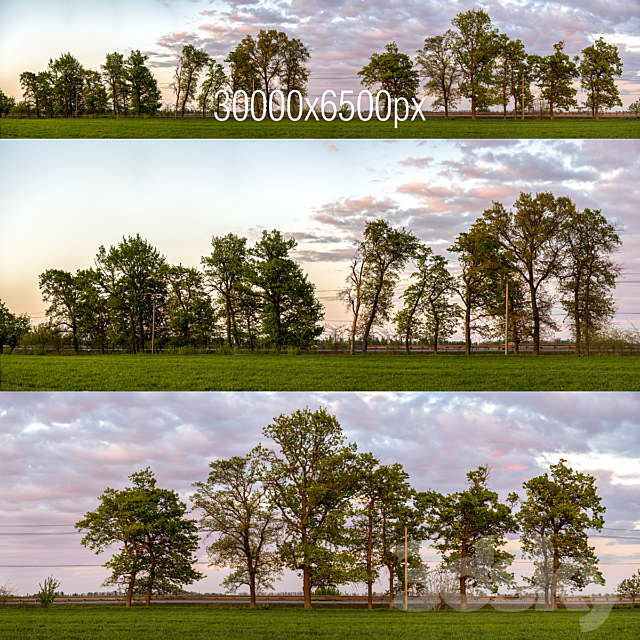 Panorama with trees. Sunset 3ds Max - thumbnail 1