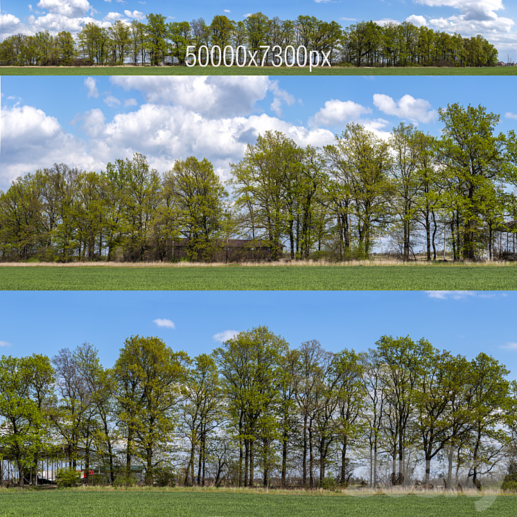 Panorama with Trees v2. 50k 3DS Max - thumbnail 1