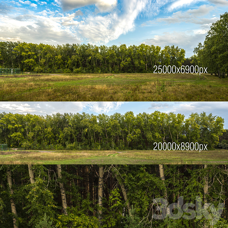 Poplar panoramas 3DS Max - thumbnail 1