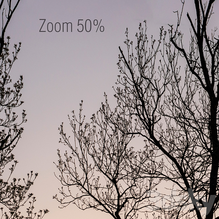 Silhouettes of trees at sunset. Panorama 3DS Max - thumbnail 2