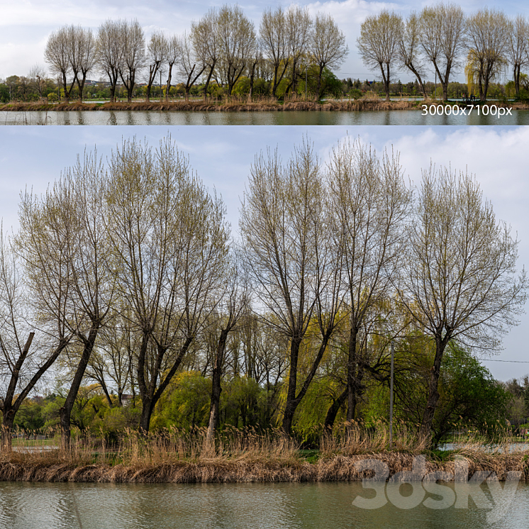 Spring panorama from the park with a lake and verdant trees. 30k 3DS Max - thumbnail 1