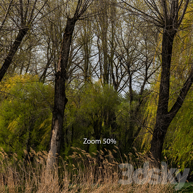 Spring panorama from the park with a lake and verdant trees. 30k 3DSMax File - thumbnail 3