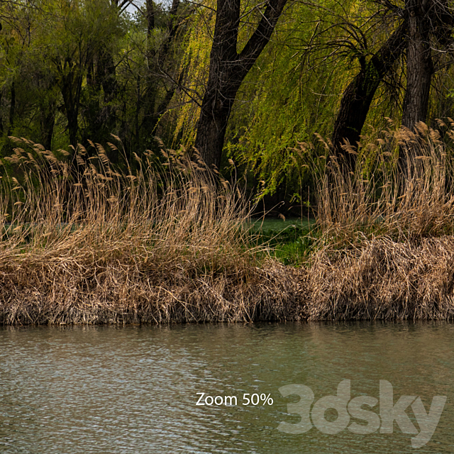 Spring panorama from the park with a lake and verdant trees. 30k 3DSMax File - thumbnail 5