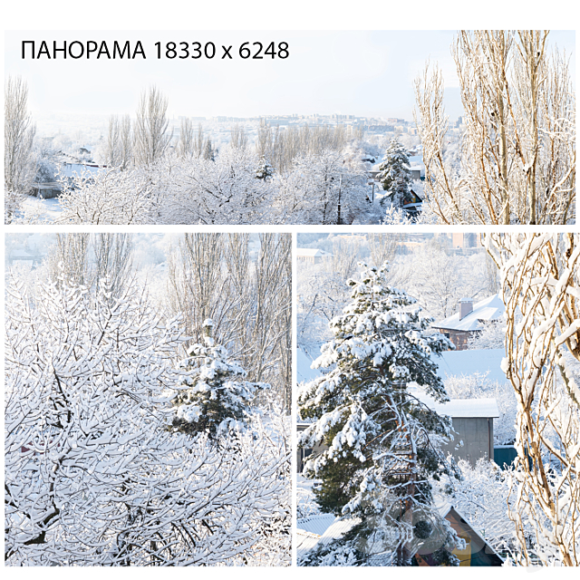 Winter panorama. View from the window. 3ds Max - thumbnail 1