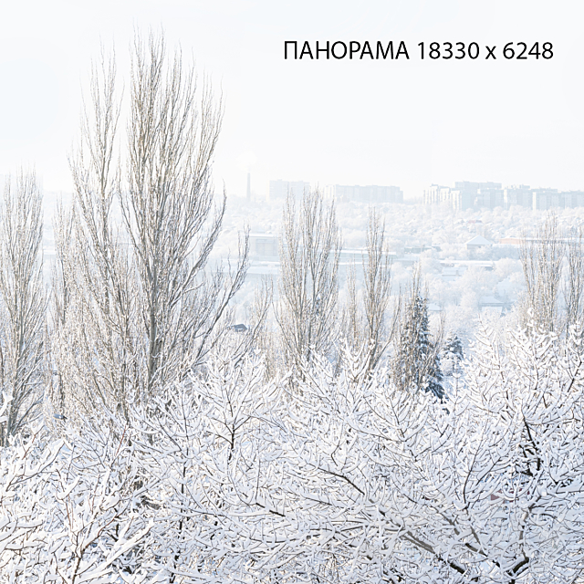 Winter panorama. View from the window. 3ds Max - thumbnail 3