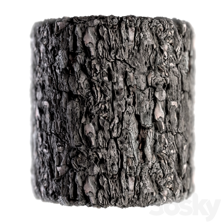 Wood 08 Smart Material (pbr) 3DS Max Model - thumbnail 2