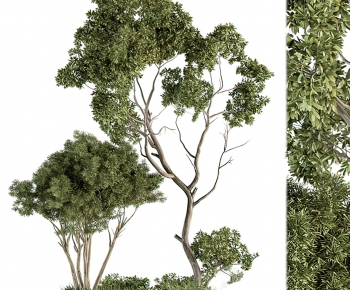 Tree for Exterior 3D Models – 004 - thumbnail 1