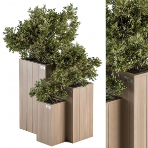 Tree for Exterior 3D Models – 014 - thumbnail 1