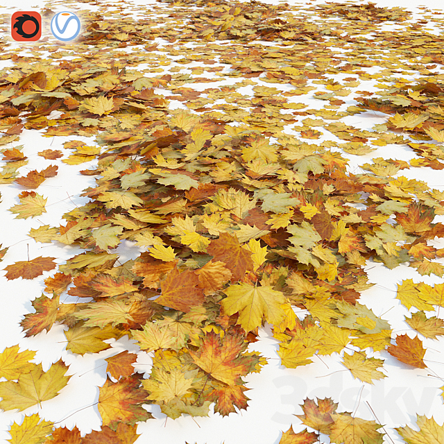 Autumn maple leaves 3DSMax File - thumbnail 1