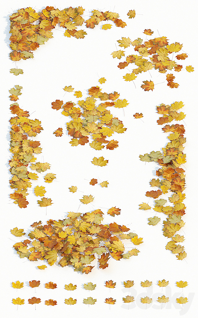 Autumn maple leaves 3DSMax File - thumbnail 2