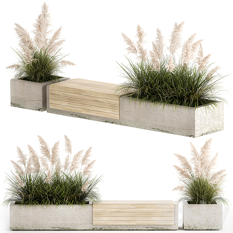 Bench flowerbed for the urban environment in a concrete flowerpot with bushes of reeds and pampas grass Cortaderia. 1144. 3DS Max - thumbnail 1