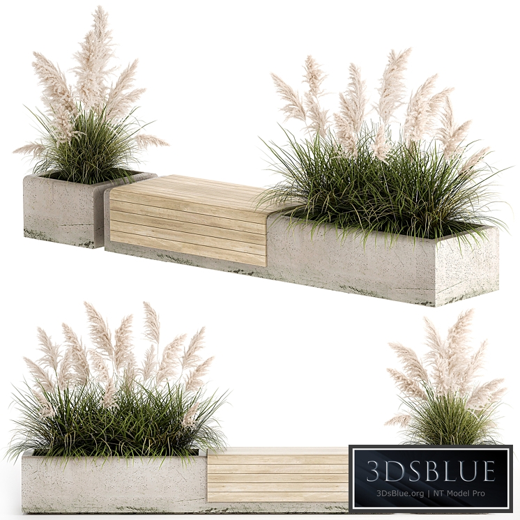 Bench flowerbed for the urban environment in a concrete flowerpot with bushes of reeds and pampas grass Cortaderia. 1144. 3DS Max - thumbnail 3