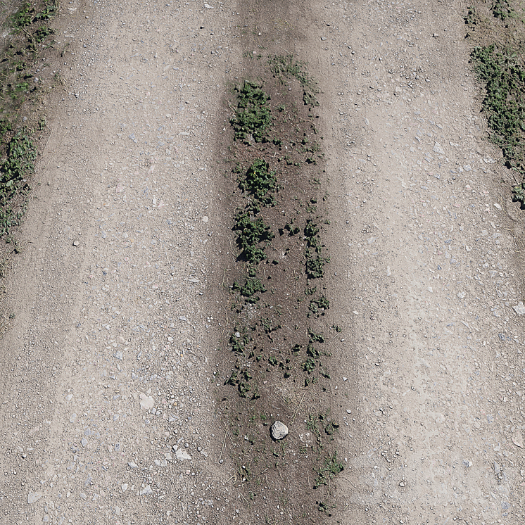 Dirt road_1 3DS Max - thumbnail 2